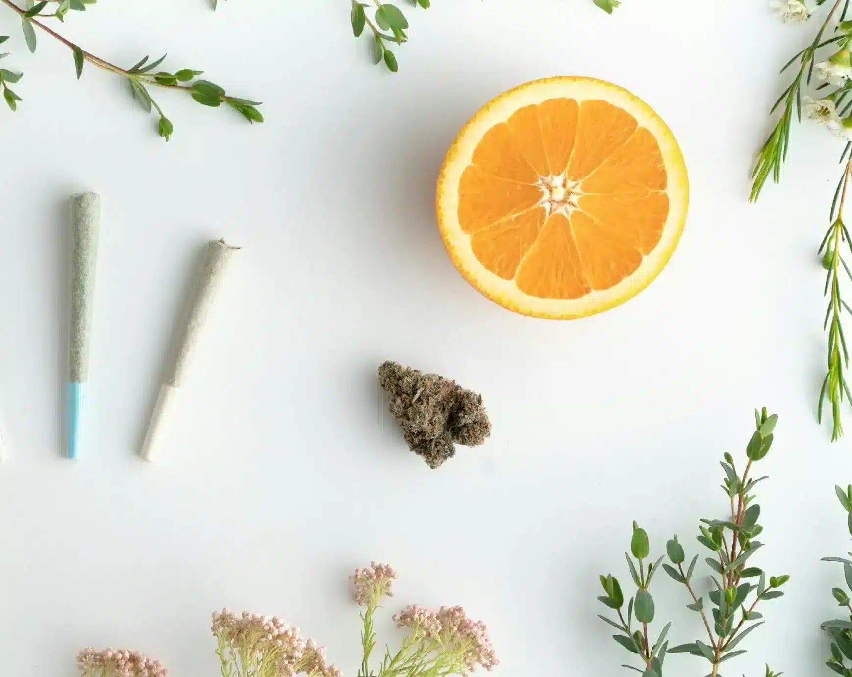 Image of Best-tasting extracts to use with pre-rolls